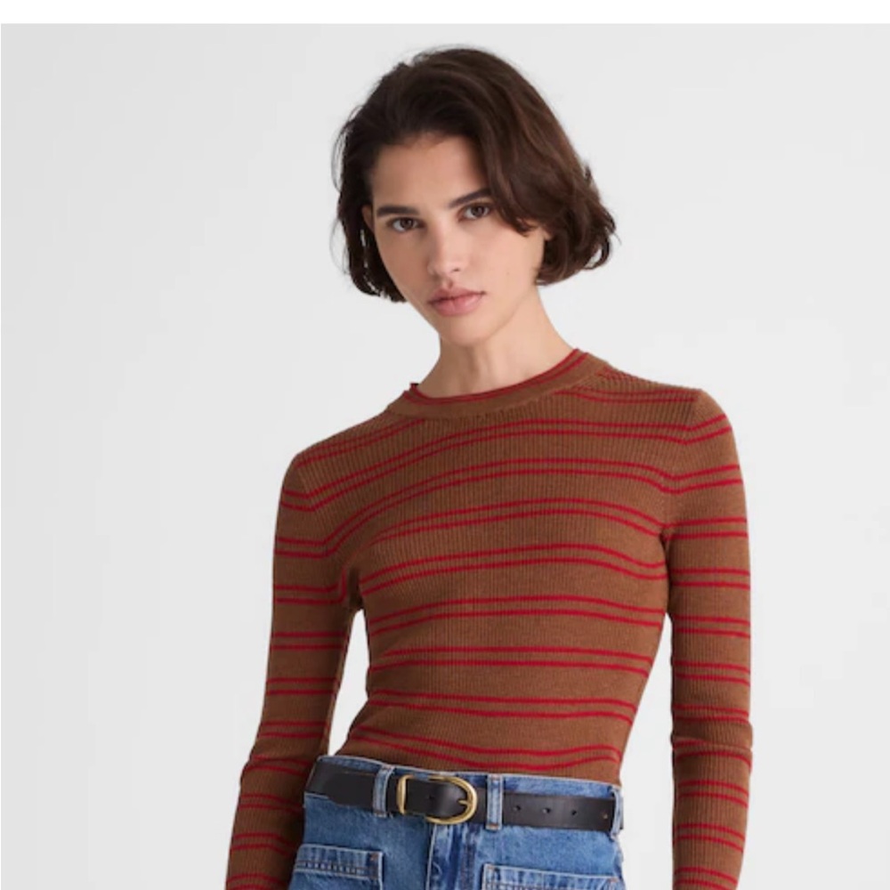 Madewell Brown and Red Striped Crewneck